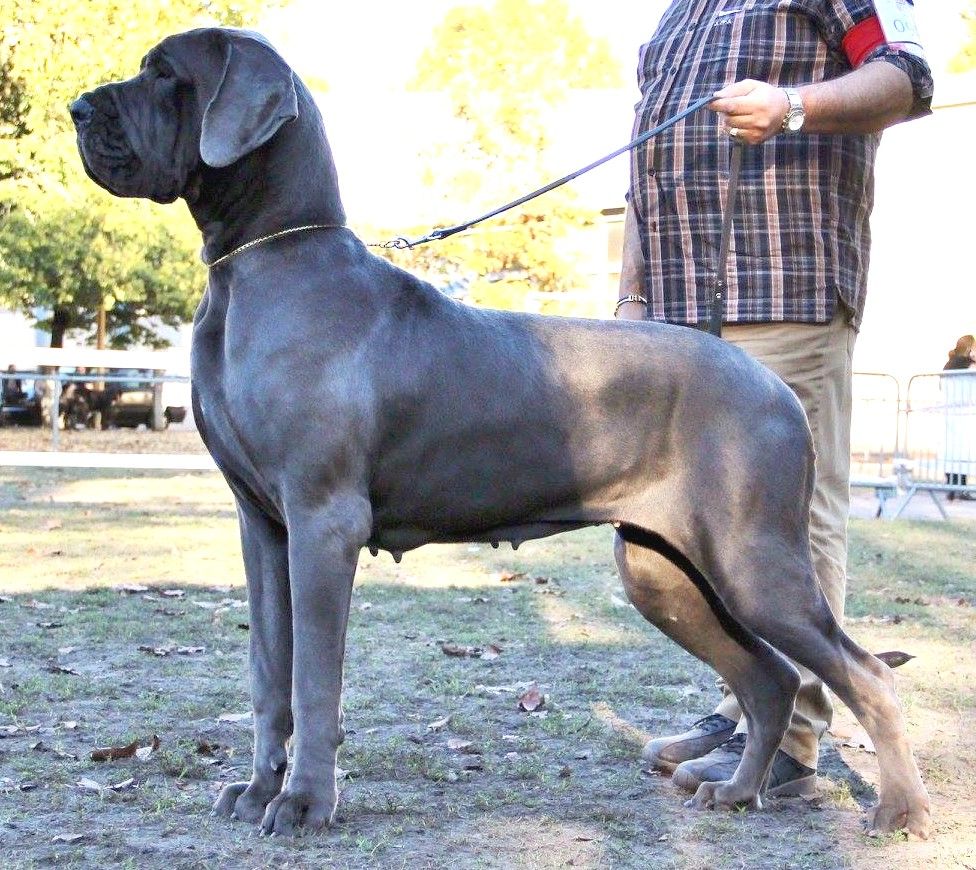 Tresor du domaine de Kalkis